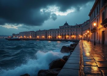 découvrez la saison 2 de pax massilia : olivier marchal revient à marseille avec une ambiance intense. regardez la bande-annonce et ne manquez pas la sortie en décembre sur netflix.