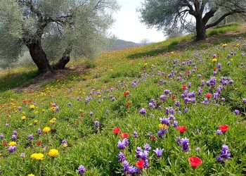 découvrez une randonnée unique à reynès mêlant exploration botanique et géologique, jusqu’à l’oratoire de galangau à montferrer, entre nature et patrimoine.